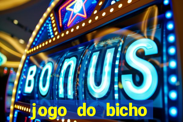 jogo do bicho crash bingo